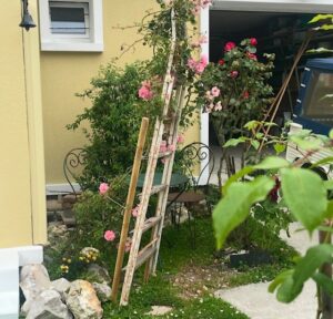échelle support de plantes