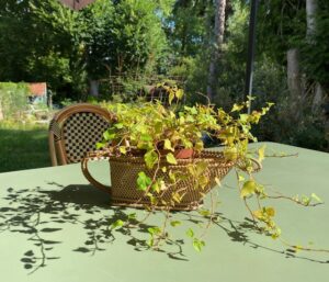 porte bouteille osier