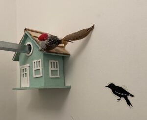 maison à oiseau sur tringle