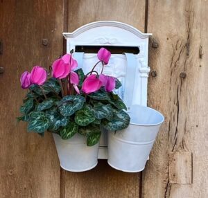 boite aux lettres suppir$ot de plantes