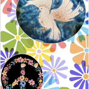 plat colombe blanche