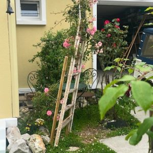 échelle support de plantes