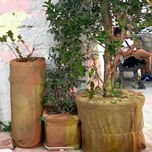 pots habillés de toile de jute