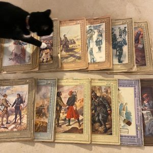 chat sur la guerre documentée