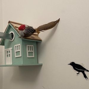 maison à oiseau sur tringle